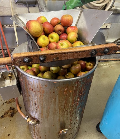 Cook whole apples in cider